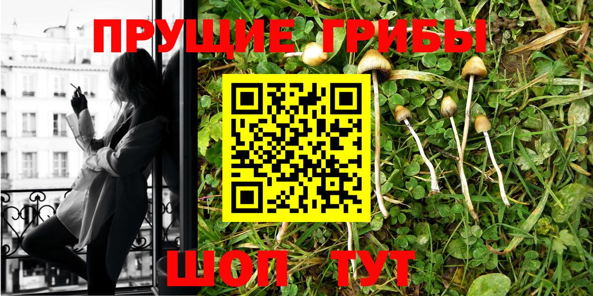 Псилоцибиновые грибы MAGIC MUSHROOMS Рославль