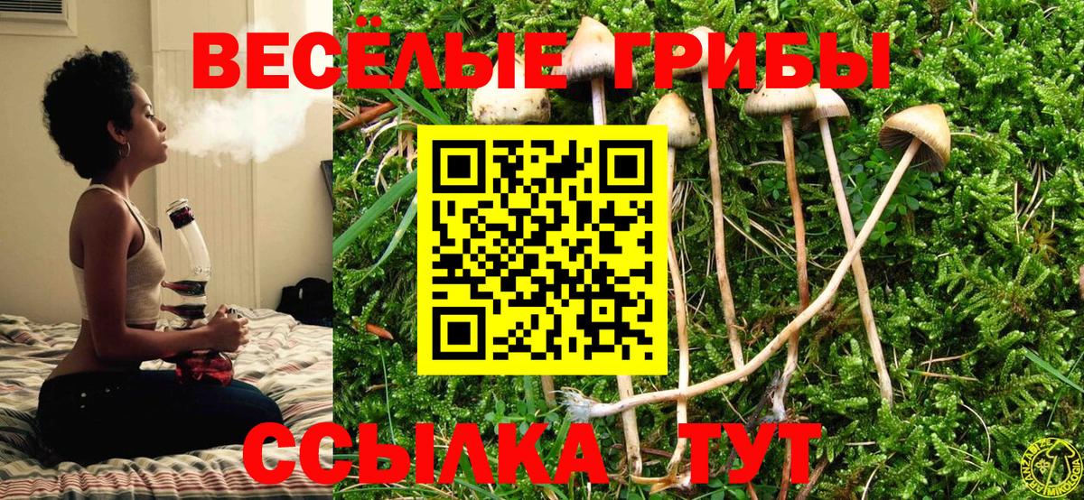 Рославль  Галлюциногенные грибы мухоморы  Вход с VPN  Псилоцибиновые грибы Psilocybine cubensis 
